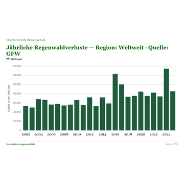 Zerstörung tropischer Regenwälder – welche Zahlen sind verlässlich?
