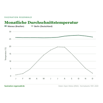 Immer warm, immer feucht – das Tropenklima