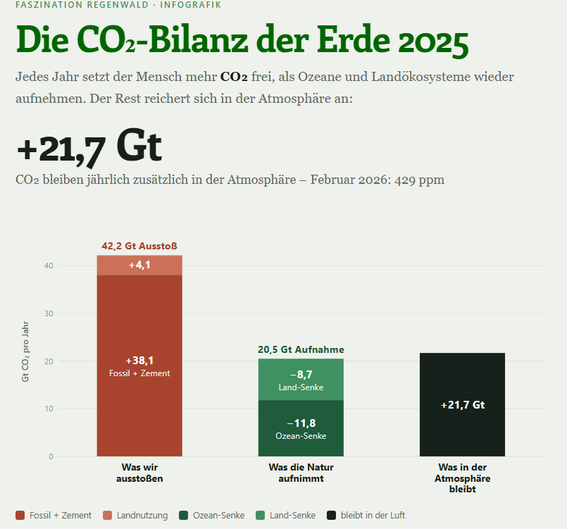 Die CO₂-Bilanz der Erde