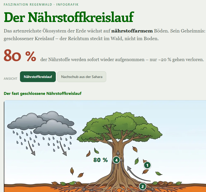 Der Nährstoffkreislauf