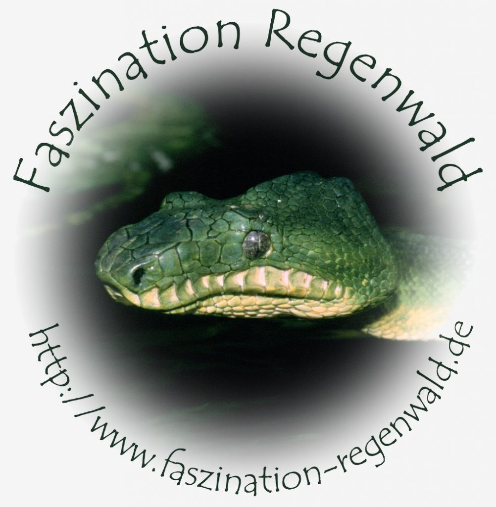Logo Faszination Regenwald