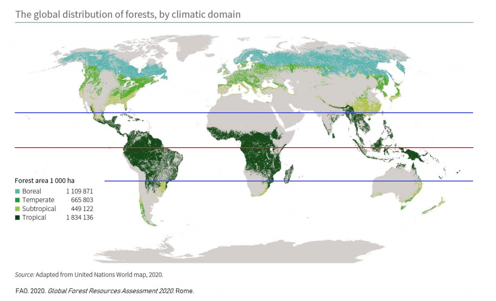 Weltkarte "Globale Verteilung tropischer Regenwälder"