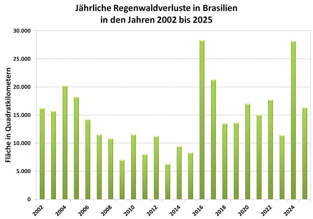 Grafik: jährliche Regenwaldverluste in Brasilien in den Jahren 2002 bis 2025