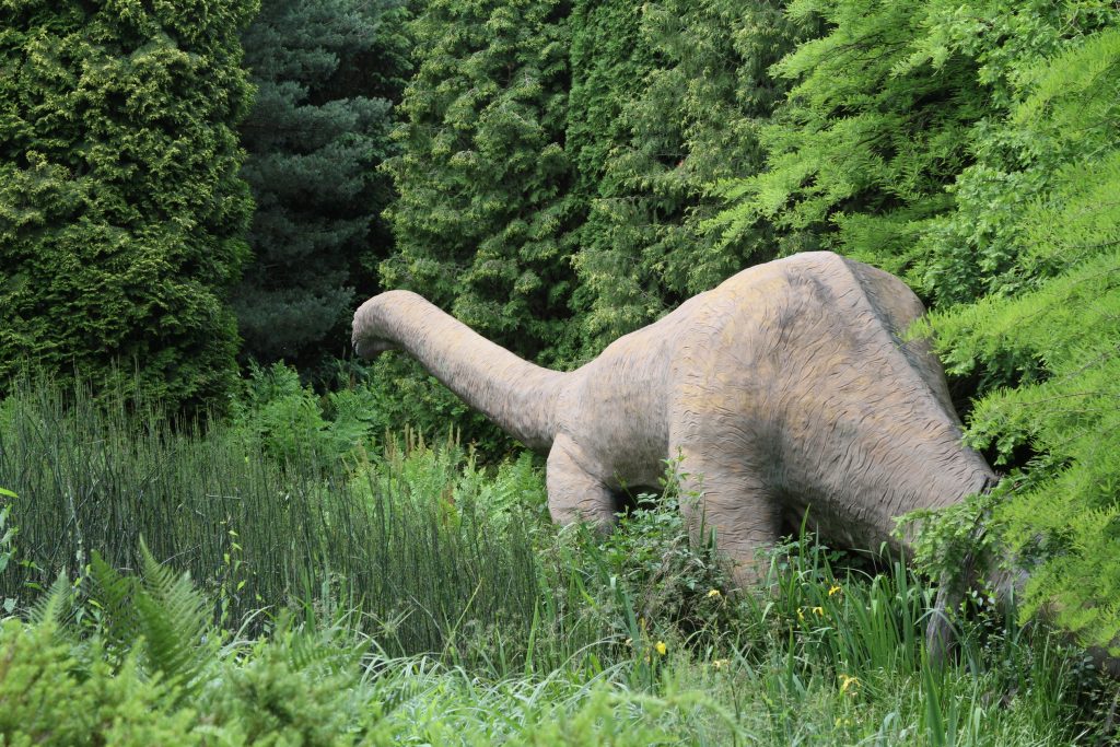 Pflanzenfressender Dinosaurier (Diplodocus)