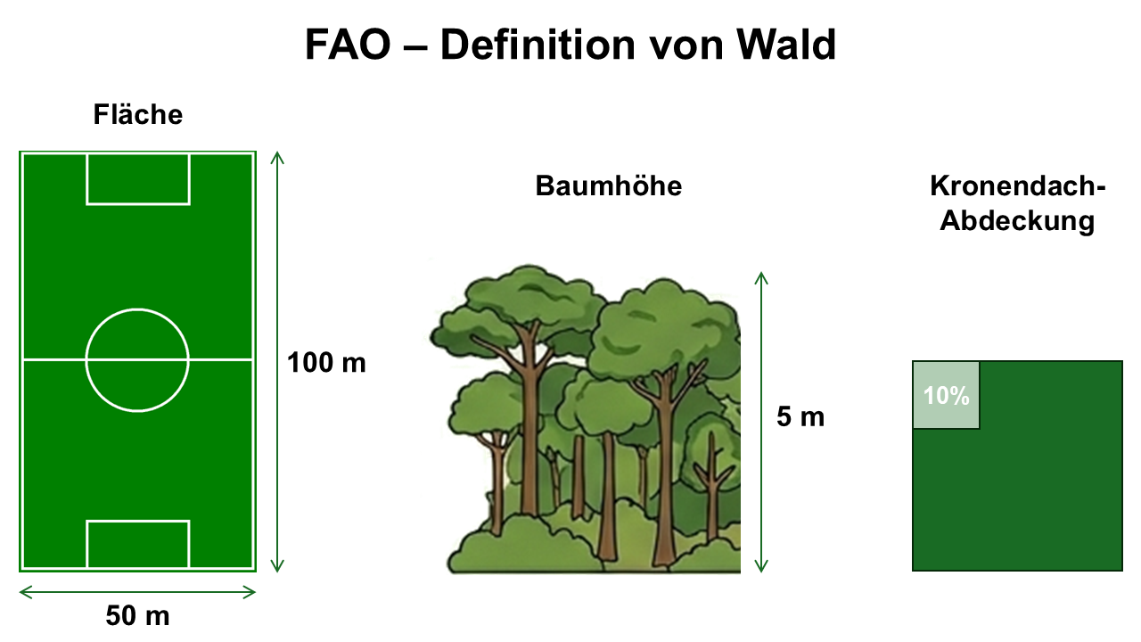 Gemäß Wald-Definition der FAO ist ein Wald definiert ist als eine Fläche von mehr als 0,5 Hektar (5.000 Quadratmeter) mit über fünf Meter hohen Bäumen und einem Kronendach, das mehr als 10 Prozent der Fläche abdeckt.
