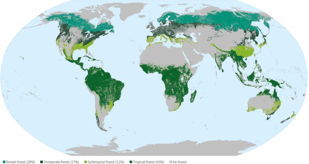 FAO: Global distribution of forests, by climatic domain, 2025