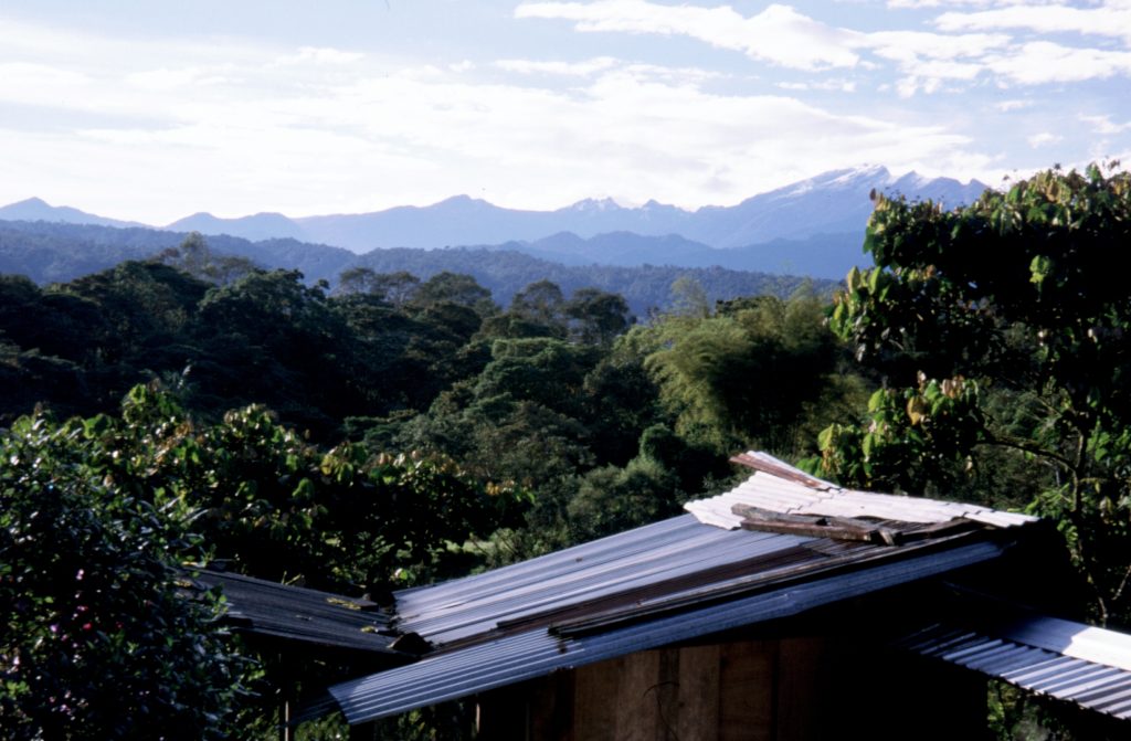 Blick über einen ecuadorianischen Bergregenwald