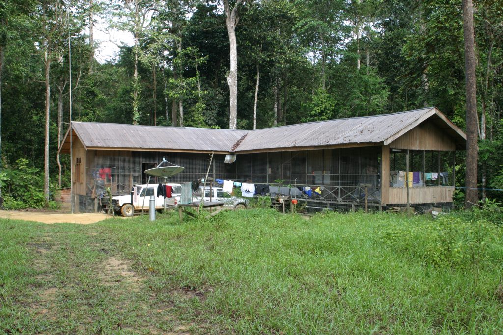 Auswilderungsstation für Orang-Utans auf Borneo, Indonesien