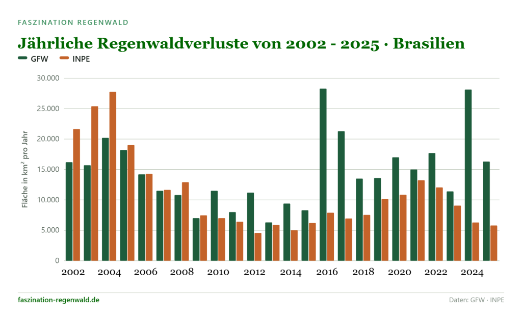 Infografik: Balkendiagramm mit den Regenwaldverlusten in Brasilien in den Jahren 2002 bis 2025 basierend auf den Daten von Global Forest Watch (GFW) und der Brasilianischen Weltraumbehörde (INPE).