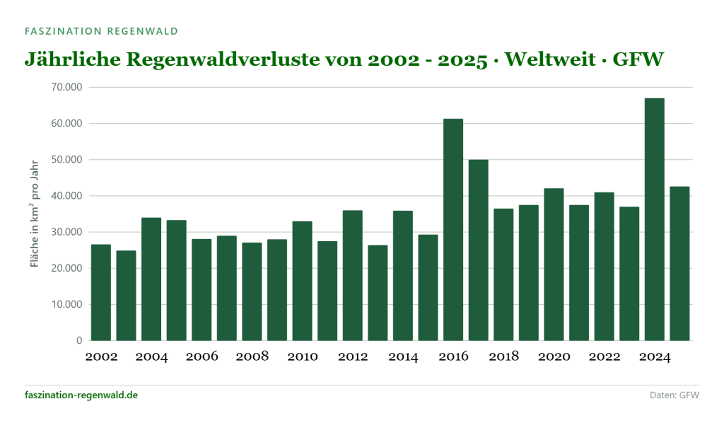 Infografik: Balkendiagramm mit den weltweiten Regenwaldverlusten der Jahre 2002 bis 2025 basierend auf den Daten von Global Forest Watch (GFW).