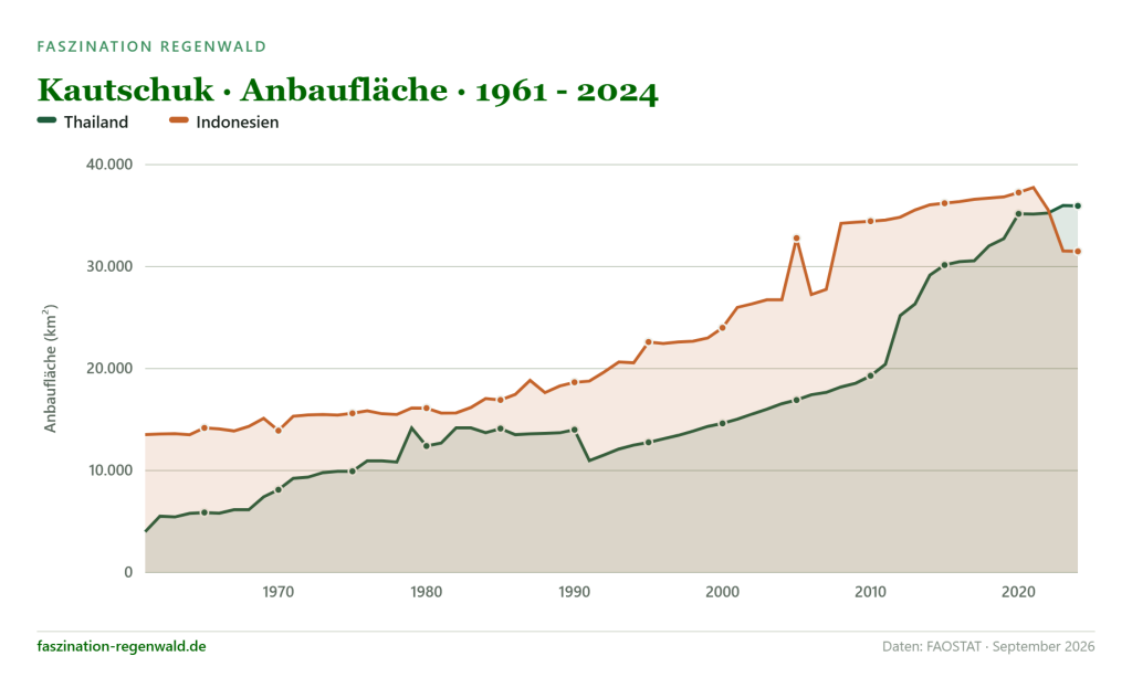 Liniendiagramm der Kautschuk-Anbaufläche in Thailand und Indonesien von 1961–2024 – Kautschuk als Treiber der Regenwaldzerstörung.