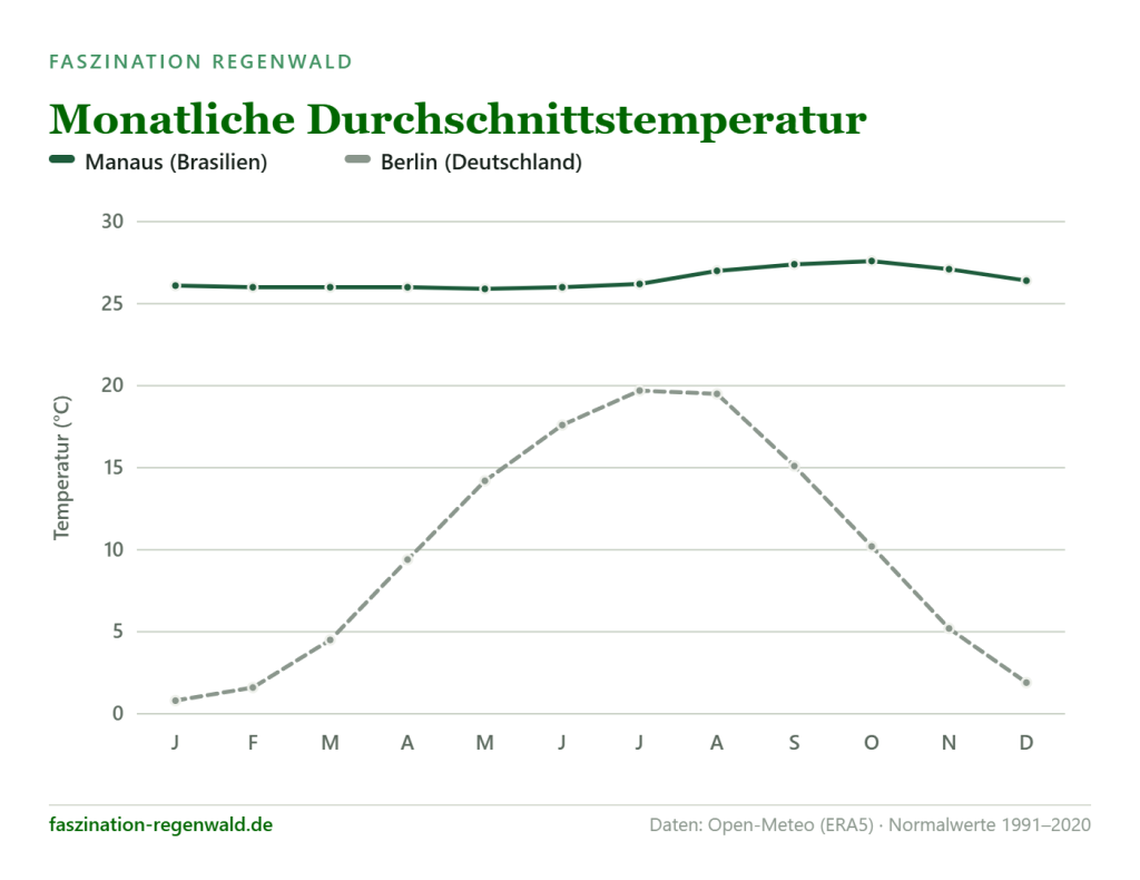 Infografik zum Tropenklima: ganzjährig rund 26 °C in Manaus (Brasilien) im Vergleich zu Berlin (Deutschland).