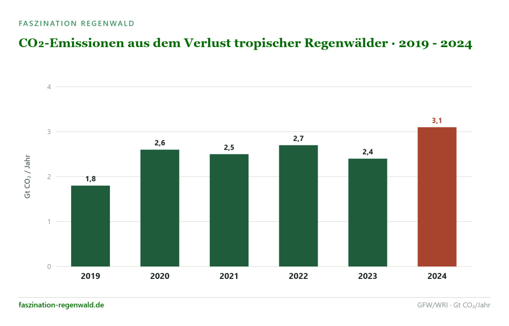 Infografik: CO2-Emissionen aus dem Verlust tropischer Regenwälder in den Jahren 2019 bis 2024.