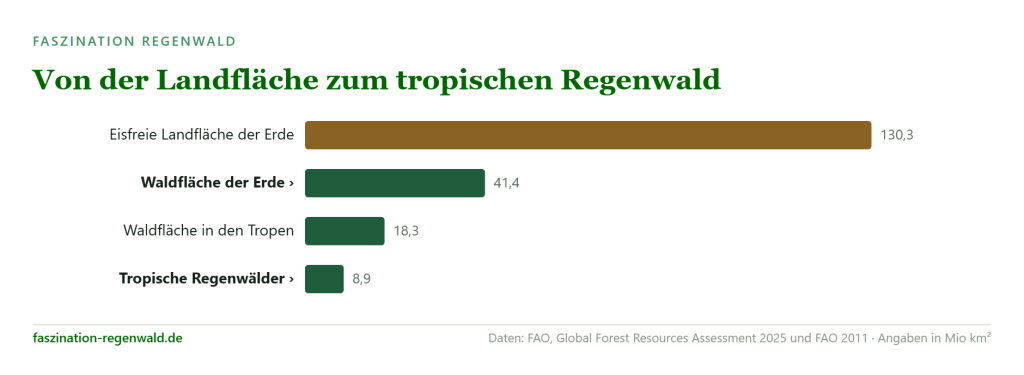 Infografik: tropische Regenwälder bedecken 8,9 Millionen Quadratkilometer der eisfreien Landfläche der Erde (130,3 Millionen Quadratkilometer).