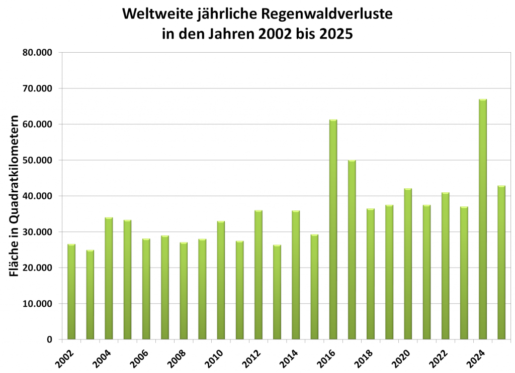 Grafik: weltweite jährliche Regenwaldverluste in den Jahren 2002 bis 2025